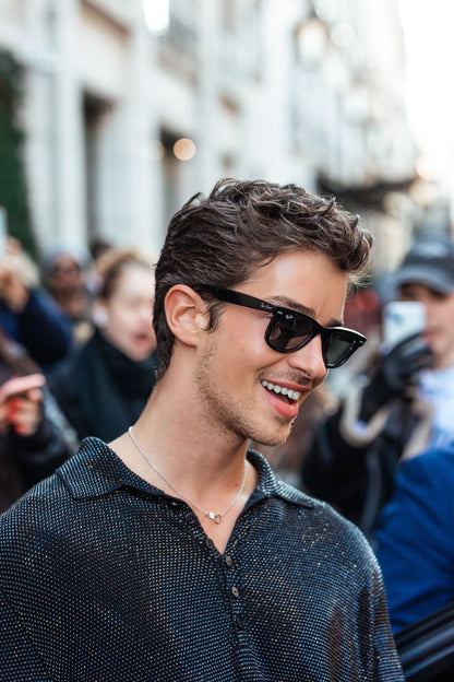Sunglasses- RB Wayfarer